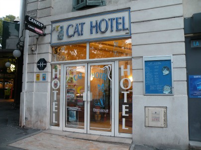 cat-hotel