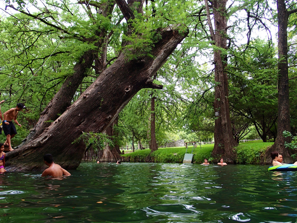 Jump into the cool, refreshing waters at Blue Hole in Wimberley
