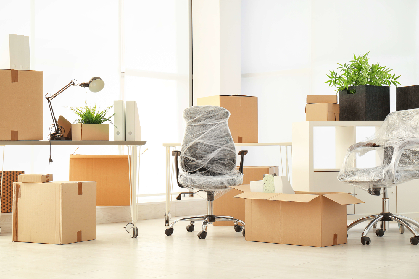 Office chair wrapped in cobwebs in an empty office with boxes