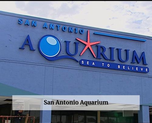 San Antonio Aquarium