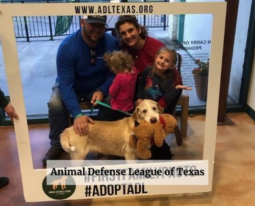 Animal Defense League of Texas