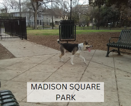 Madison Square Park