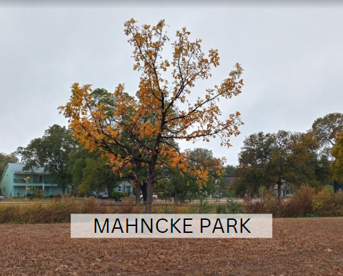 Mahncke Park