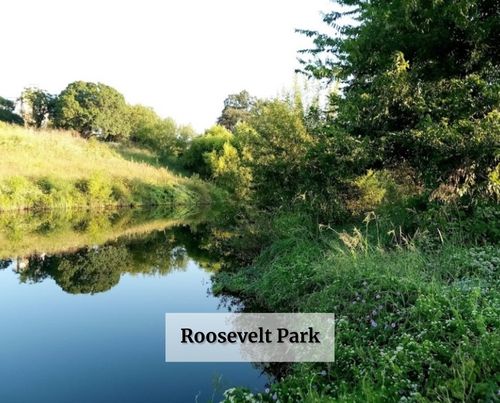 Roosevelt Park