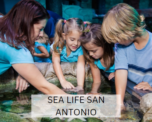 SEA LIFE San Antonio