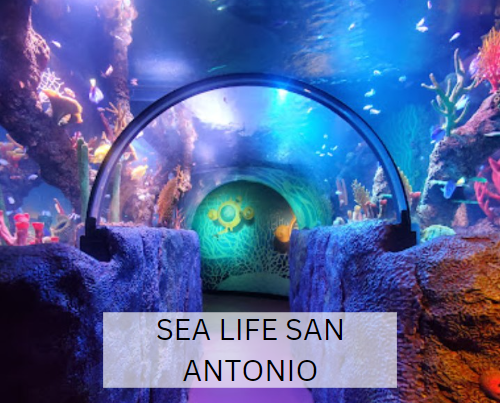 SEA LIFE San Antonio