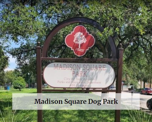 Madison Square Dog Park