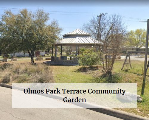 Olmos Park Terrace Community Garden