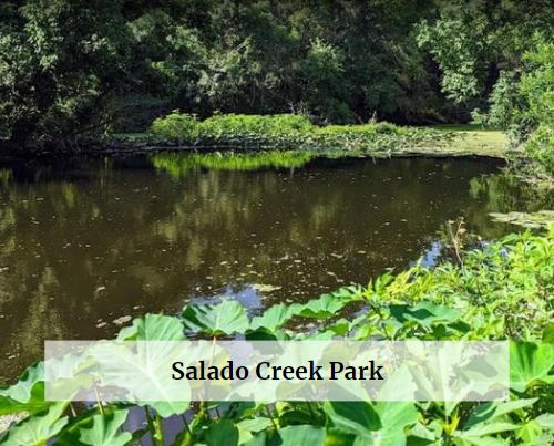 Salado Creek Park