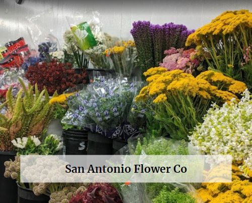 San Antonio Flower Co